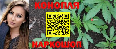 ALPHA PVP Камышлов