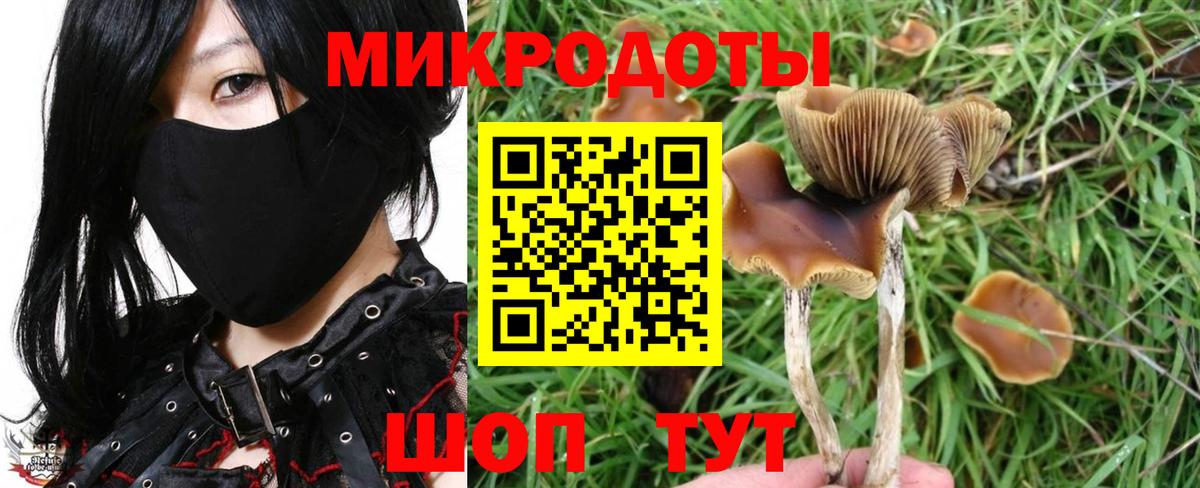 Псилоцибиновые грибы мицелий  Вход с VPN  Мончегорск 